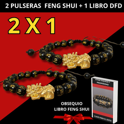 2 x 1 Pulseras Feng Shui Pixiu  prosperidad y protección