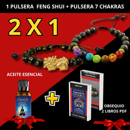 2 x 1 Pulseras Feng Shui Pixiu  prosperidad y protección